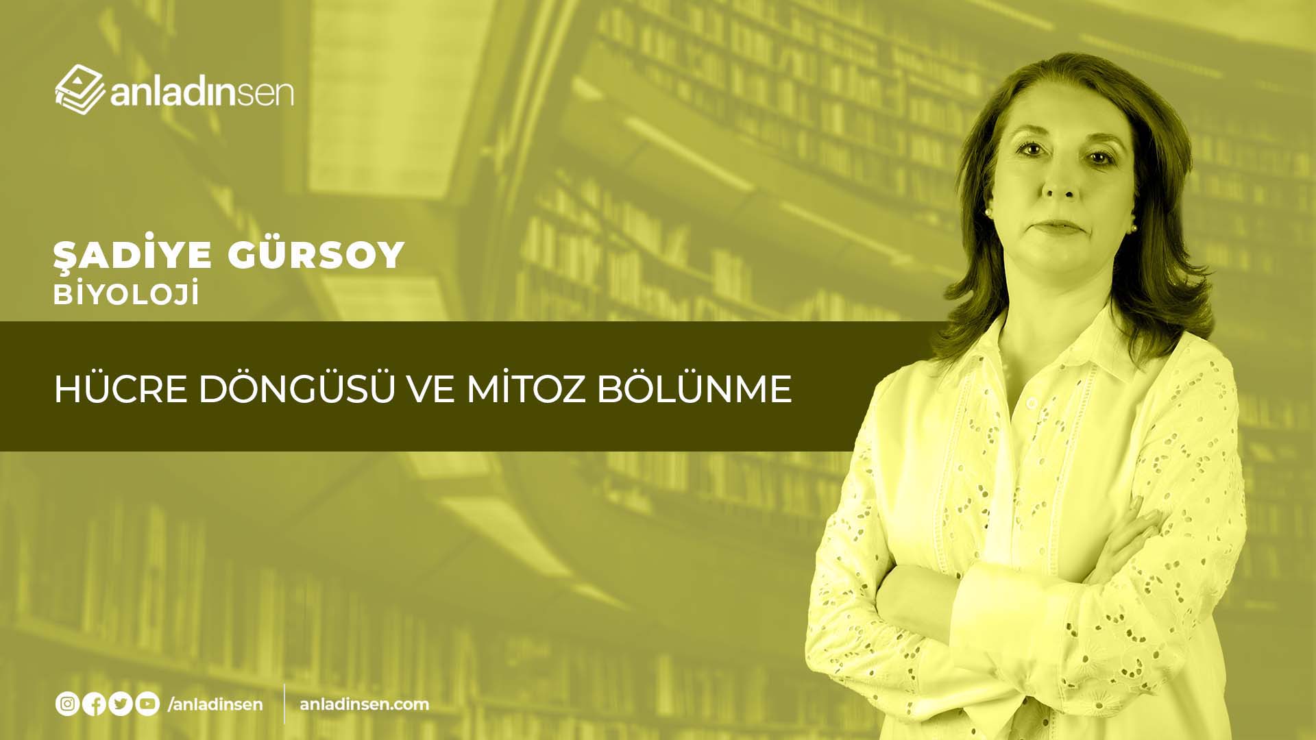 HÜCRE DÖNGÜSÜ VE MİTOZ BÖLÜNME